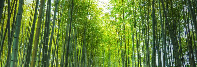 1695369455.png b73cde5c526483efc6fc14853684324.png